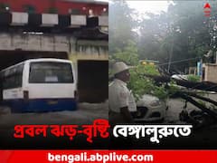 প্রবল ঝড়ে উপড়ে গেল গাছ, রাস্তায় জল জমে ভোগান্তি বেঙ্গালুরুতে