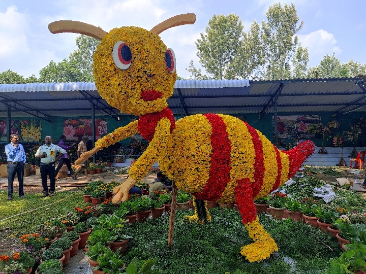 Yercaud Flower Show Inauguration: ஏற்காட்டில் சிறப்பாக தொடங்கிய  46வது கோடை விழா மற்றும் மலர்கள் காட்சி