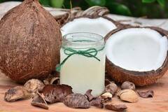 Ayurvedic properties of Coconut: ডিহাইড্রেশন রুখতে এবং মেটাবলিজমের মাত্রা ঠিক রাখতে বিশেষভাবে উপকারী নারকেল তেল