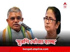 'একটা মুরগি খোঁজা হচ্ছে', মমতা-কেজরিওয়াল বৈঠক নিয়ে তীব্র কটাক্ষ দিলীপের