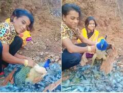 ਆਖ਼ਰ ਕਿਉਂ ? ਬੇਰਹਿਮੀ ਨਾਲ ਮੋਰ ਦੇ ਖੰਭ ਪੱਟ ਕੇ ਵੀਡੀਓ ਕੀਤੀ ਵਾਇਰਲ, ਮਾਮਲਾ ਦਰਜ