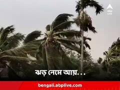 রাজ্যের বিভিন্ন প্রান্তে প্রবল ঝড়, ভেঙে পড়ল গাছ; বাজ পড়ে মৃত ২