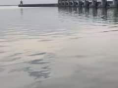 సీతమ్మ సాగర్ పనులు ఆపాల్సిందే, లేకుంటే యంత్రాలు తగులబెడతాం: కాంగ్రెస్ ఎమ్మెల్యే