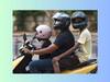 Helmets Compulsory in Kolhapur: गुजरातमधील हेल्मेट कंपनीच्या फायद्यासाठी कोल्हापुरात हेल्मेट सक्ती; शिवसेना ठाकरे गटाचा गंभीर आरोप 