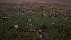 দামাল ঝড়ের সঙ্গে শিলাবৃষ্টি বীরভূমে, রায়নায় ঝোড়ো হাওয়ায় দেওয়াল চাপা পড়ে মৃত্যু বৃদ্ধার