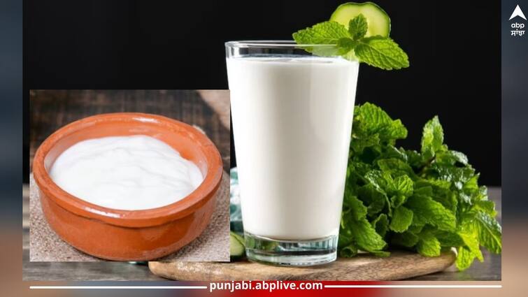 health-news-curd-or-buttermilk-which-is-better-in-summers ਦਹੀਂ ਜਾਂ ਲੱਸੀ... ਗਰਮੀ ਤੋਂ ਰਾਹਤ ਲਈ ਕਿਹੜਾ ਹੈ ਬਿਹਤਰ, ਜਾਣੋ ਇਸ ਦੇ ਫਾਇਦੇ