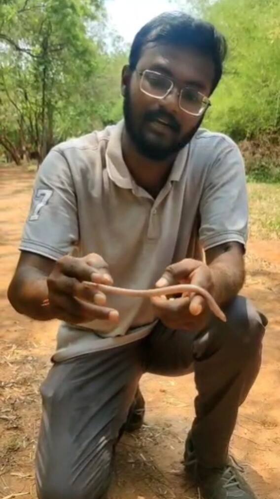 విశాఖ జిల్లాలో అరుదైన జీవిని గుర్తించిన అటవీ శాఖ