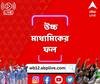 WB HS Results 2023 LIVE: উচ্চমাধ্যমিকেও জেলার জয়জয়কার, সার্বিক পাসের হারে এগিয়ে পূর্ব মেদিনীপুর