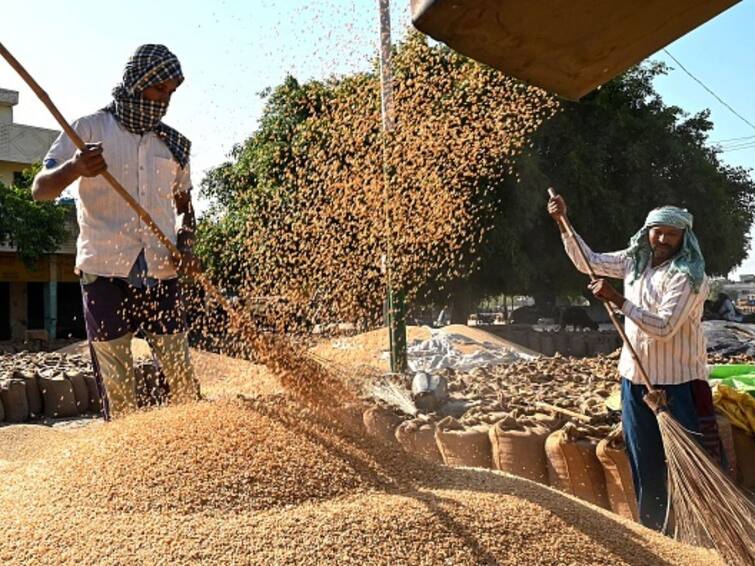 Govt Rules Out Lifting Ban On Wheat Export, To Consider Shipments Through Diplomatic Channels