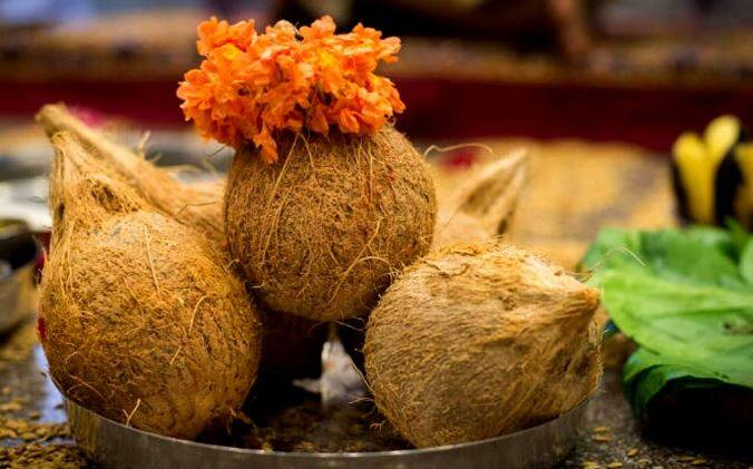 પરંતુ જો તમે સોનું ખરીદી શકતા ન હોવ તો આ દિવસે ઘરમાં એકલું નારિયેળ લાવીને સ્થાપિત કરવાથી પ્રગતિ થાય છે. એકાક્ષી નાળિયેરને દેવી લક્ષ્મીનું સ્વરૂપ માનવામાં આવે છે. આ સાથે બિઝનેસ બમણી ઝડપે વધે છે.