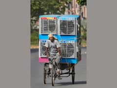 People Brace For Extreme Heat As Delhi Bakes At Over 40 Degrees — SEE PICS