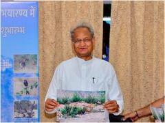 उदयपुर में शुरू हुई लेपर्ड सफारी, अब जंगल में 39 KM के ट्रैक पर होगा एडवेंचर, जानें शेड्यूल