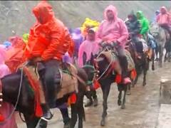 केदारनाथ पैदल यात्रा मार्ग पर इस बार पशु क्रूरता के मामले कम, नहीं लग रहा है जाम