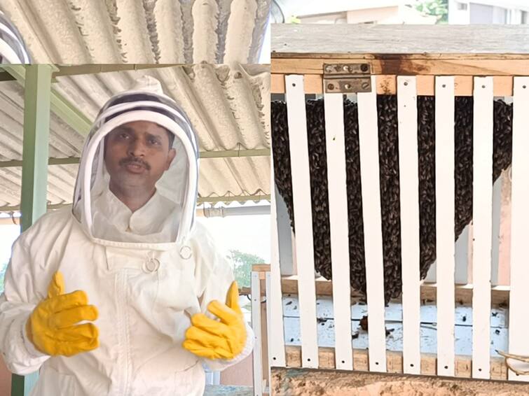 Palghar News Production of Fulori Honey Box at Kosbad Agricultural Science Center Palghar News: कोसबाड कृषी विज्ञान केंद्रात फुलोरी मधपेटीची निर्मिती, जगातील पहिला प्रयोग पालघर जिल्ह्यात केल्याचा दावा