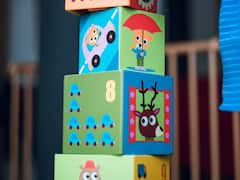 छत्तीसगढ़: दो जिलों के बालवाड़ी स्कूलों में खेल सामानों की खरीद में हुआ लाखों का गोलमाल, होगी जांच