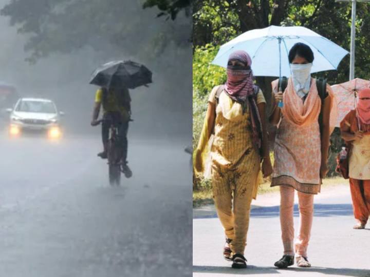 Southwest Monsoon in next 2 days IMD Update Latest Weather News in Tamil Southwest Monsoon: இந்தியாவில் ஓய்ந்தது வெப்ப அலை.. இன்னும் இரண்டே நாட்களில் தென்மேற்கு பருவமழை - வானிலை மையம்