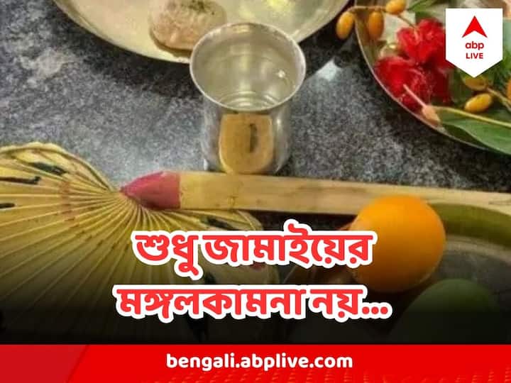 Jamai Sasthi 2023 Know why the rituals followed in Bengal, know the history Jamai Sasthi 2023 : শুধু জামাইয়ের মঙ্গল নয়, জামাইষষ্ঠী ব্রতপালনের পিছনে ছিল শাশুড়িদের আরও এক মনস্কামনা