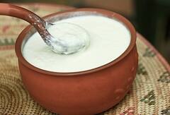 દહીંને સ્ટીલ અને કાચના વાસણોમાં નહીં, પરંતુ આ વાસણમાં જમાવો, થશે અદભૂત ફાયદા