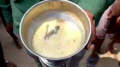 মিডডে মিলের খিচুড়িতে টিকটিকি, খাবার খেয়ে অসুস্থ পড়ুয়ারা!