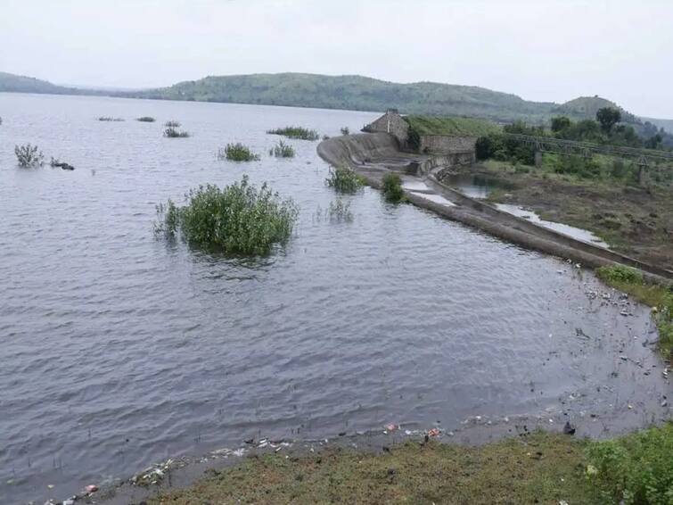 Maharashtra News Beed News Sister committed suicide by jumping into the dam after calling her brother Beed News : 