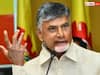 YSRCP MPs And MLAs Have 408 Criminal Cases, CM Reddy Himself Facing 31 Cases: Chandrababu Naidu