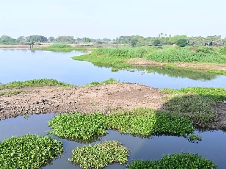 தூத்துக்குடியில் துவங்கியது தண்ணீர் பிரச்னை- 4,5 தினங்களுக்கு ஒருமுறை குடிநீர் விநியோகம்