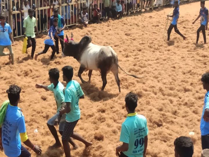 திருச்சி மாவட்டத்தில் நடந்த ஜல்லிக்கட்டு போட்டியில் காளைகள் முட்டியதில் 32 பேர் காயம்