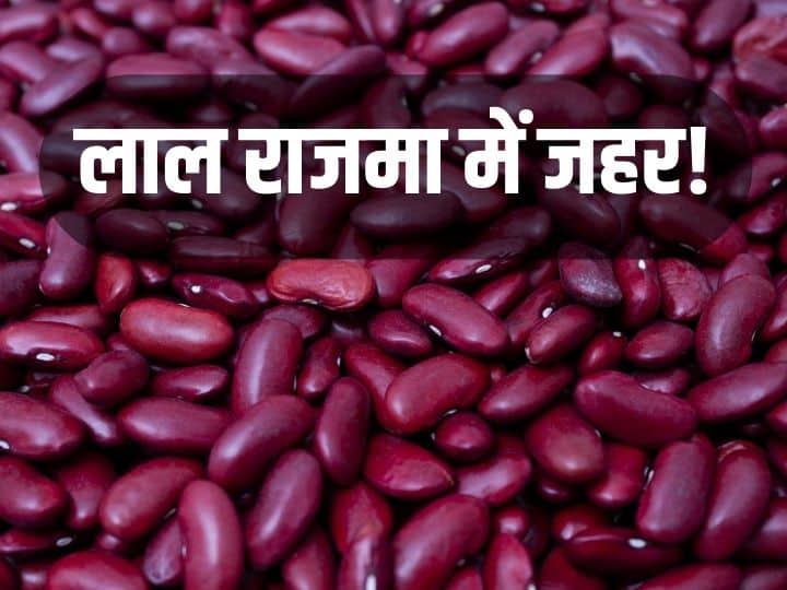 लाल राजमा में पाया गया जहर, नई रिसर्च में हुआ बड़ा खुलासा, पढ़ें पूरी रिपोर्ट Poison found in Red Rajma big disclosure read full research report लाल राजमा में पाया गया जहर, नई रिसर्च में हुआ बड़ा खुलासा, पढ़ें पूरी रिपोर्ट