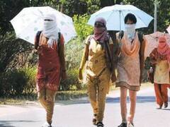 TN Weather Update: இன்று வெப்பநிலை எப்படி இருக்கும்? கடந்த 24 மணிநேரத்தில் அதிகபட்ச வெப்பநிலை என்ன தெரியுமா? இன்றைய வானிலை நிலவரம் இதோ..