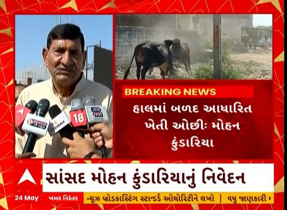 આખલાઓના ત્રાસ માટે સાંસદ મોહન કુંડારિયાએ શું આપ્યું મોટું કારણ?, જુઓ વીડિયો