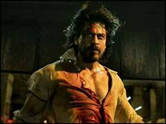 'पठान' के साथ ये इंडियंस फिल्में कर चुकी हैं वर्ल्डवाइड 1000 करोड़ का आकड़ा पार, यहां लें इनका मजा