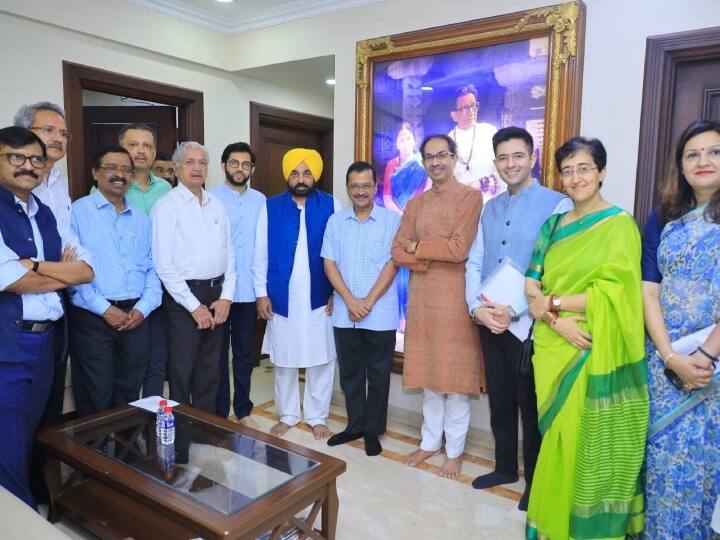 मीटिंग के बाद महाराष्ट्र के पूर्व सीएम और शिवसेना (यूबीटी) प्रमुख उद्धव ठाकरे ने कहा कि हम सब देश और लोकतंत्र को बचाने के लिए एक साथ आए हैं. मुझे लगता है कि हमें 'विपक्षी' दल नहीं कहा जाना चाहिए, बल्कि उन्हें (केंद्र को) 'विपक्षी' कहा जाना चाहिए क्योंकि वे लोकतंत्र और संविधान के खिलाफ हैं.