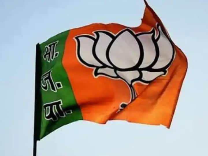 Lok Sabha Elections 2024: BJP and SP’s problems increased before Lok Sabha elections 2024!  Allies demanding a bigger share in seats