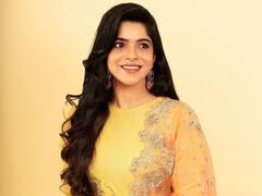 ఎల్లో డ్రెస్సులో మెరిసిపోతున్న దివ్య భారతి - లేటెస్ట్ ఫొటోలు చూశారా?