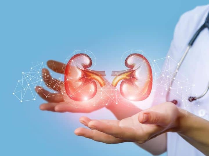 लेकिन कई बार फैट, यूरिया और ट्राइग्लिसराइड्स के संचय की वजह से किडनी के कार्यों में रुकावट पैदा होती है, जिससे खून के थक्के बनने सहित कई समस्याएं पैदा होती हैं.