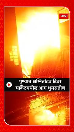 Pune Fire : पुण्यात अग्नितांडव, टिंबर मार्केटमधील आग धुमसतीच