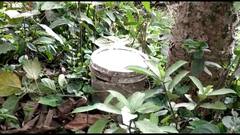 জেলায় জেলায় বোমা ও বেআইনি আগ্নেয়াস্ত্র উদ্ধার, তৃণমূলকে আক্রমণ বিরোধীরাদের