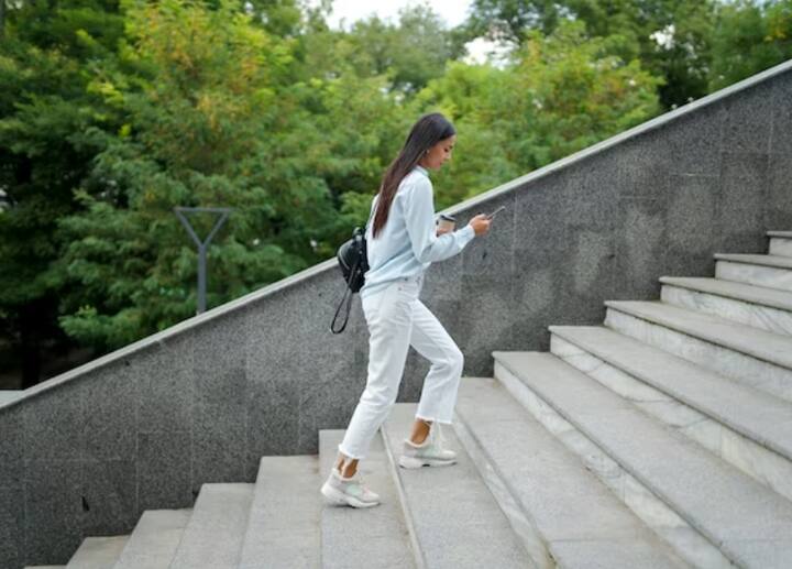 एक्सरसाइज नहीं कर रहे हैं तो ऐसे में आप ऑफिस जाते समय लिफ्ट की जगह सीढ़ियों का इस्तेमाल करें.इससे भी आपको एक्टिव रहने में मदद मिलेगी.