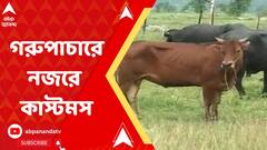 গরুপাচার মামলায় BSF-এর পর এবার কাস্টমস অফিসারদের জিজ্ঞাসাবাদ করছে সিবিআই