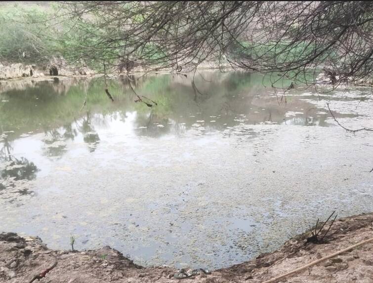 Bodies of two  brother and sister found in lake near Ambaji Gabbar in Banaskantha Banaskantha: અંબાજી ગબ્બર પાસેના તળાવમાંથી બે સગા ભાઈ અને બહેનની લાશ મળી આવતા ચકચાર