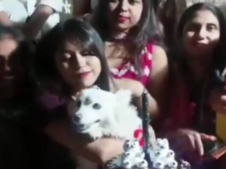 Jharkhand Dog birthday celebrated by cutting cake in Dhanbad Invited more than 100 guests  ANN Dhanbad: धनबाद में केक काटकर मनाया कुत्ते का जन्मदिन! 100 से ज्यादा मेहमानों को बुलाया, DJ की धुन पर झूमे लोग