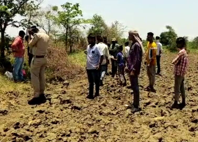 A human skull was found in the Farm of the vaghodiya Vadodara: વાઘોડિયાની સીમમા માનવ કંકાલ મળી આવતા ખળભળાટ, પોલીસ અને FSLનો કાફલો ઘટના સ્થળે