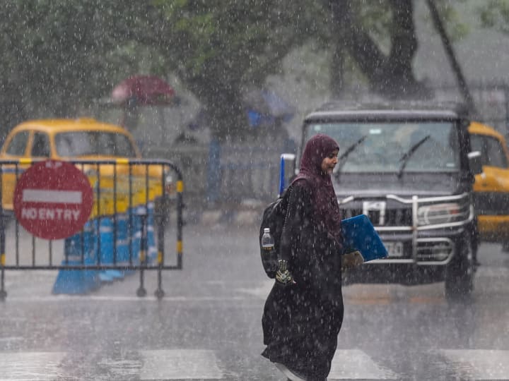 Sudden Rainfall Brings Down Temperature In Delhi-NCR, No Heatwave For Next 5 Days