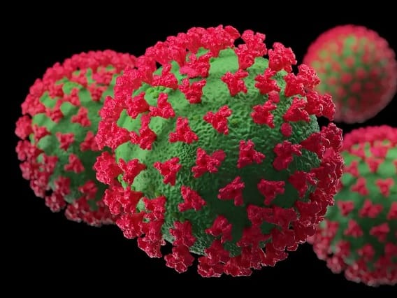 Omicron XBB : Warning as New Coronavirus Wave in China, Omicron XBB Variant Outbreak Omicron XBB : કોરોના ફરી મચાવશે હાહાકાર, ચીનમાં 1 સપ્તાહમાં નોંધાશે 6 કરોડ કેસ