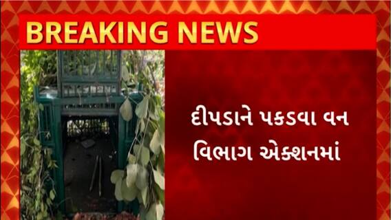 Dahod News : દાહોદના લીમખેડામાં ચાર પગનો આતંક આવ્યો સામે