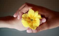 Relationship Tips: ভালবাসলেও সিদ্ধান্ত নিতে পারছেন না! কাছের মানুষটি ভরসার যোগ্য কিনা, বুঝুন এই লক্ষণগুলি দেখে