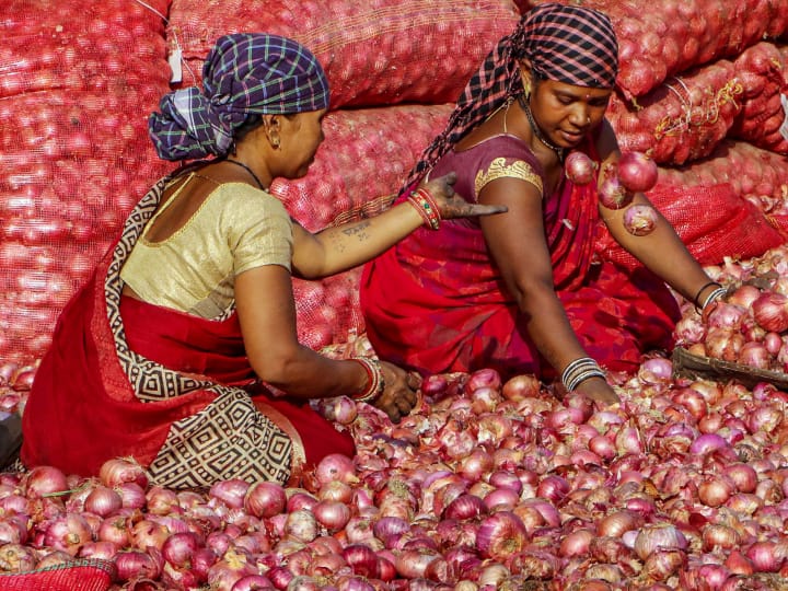 onion price increase after tomato rate hikes know reason other details Onion Price: टोमॅटोपाठोपाठ कांदाही सर्वसामान्यांना रडवणार? 'या' कारणानं दर गगनाला भिडण्याची शक्यता