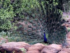 यूपी में मौसम हुआ सुहाना, आज भी कई इलाकों में बारिश का अलर्ट, जानें- मौसम का अपडेट