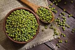 મગ સ્વાસ્થ્યલક્ષી ગુણોનો છે ભંડાર, ખાવાથી શરીરને પહોંચે છે આ ગજબ ફાયદા