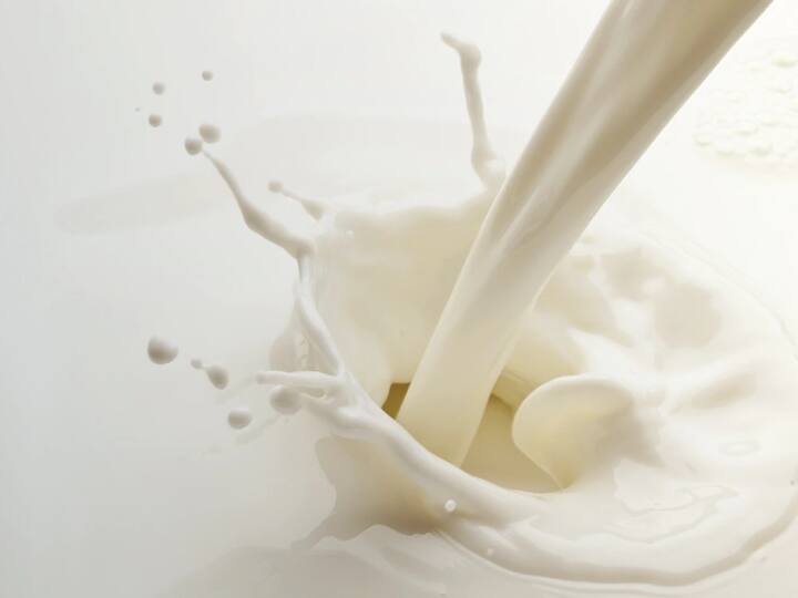 Milk Procurement Price cut 10 percent by dairies butter and milk powder rate also reduce Milk Procurement Price: 10 फीसदी तक कम हुए दूध खरीद रेट्स, बटर और मिल्क पाउडर के दाम में भी कटौती! 